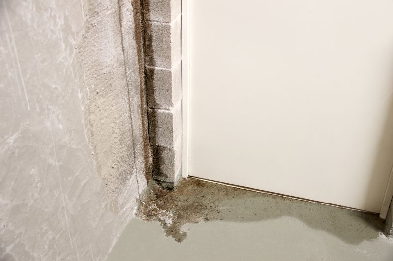 Foundation Moisture Control in Tampa, FL